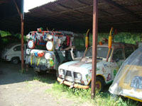 Decorated cars